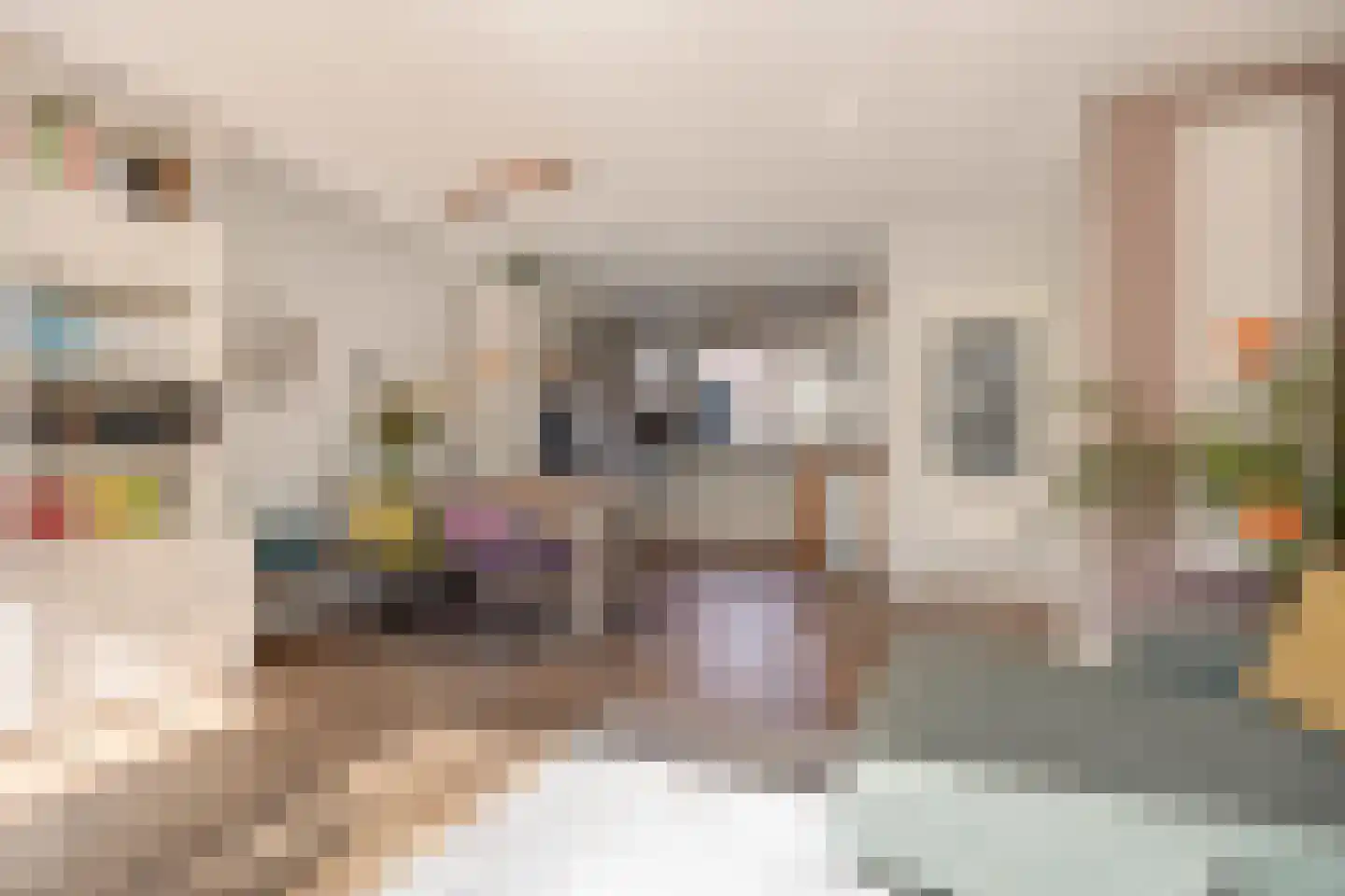Monnikevenne 11 Monnickendam thumbnail 12