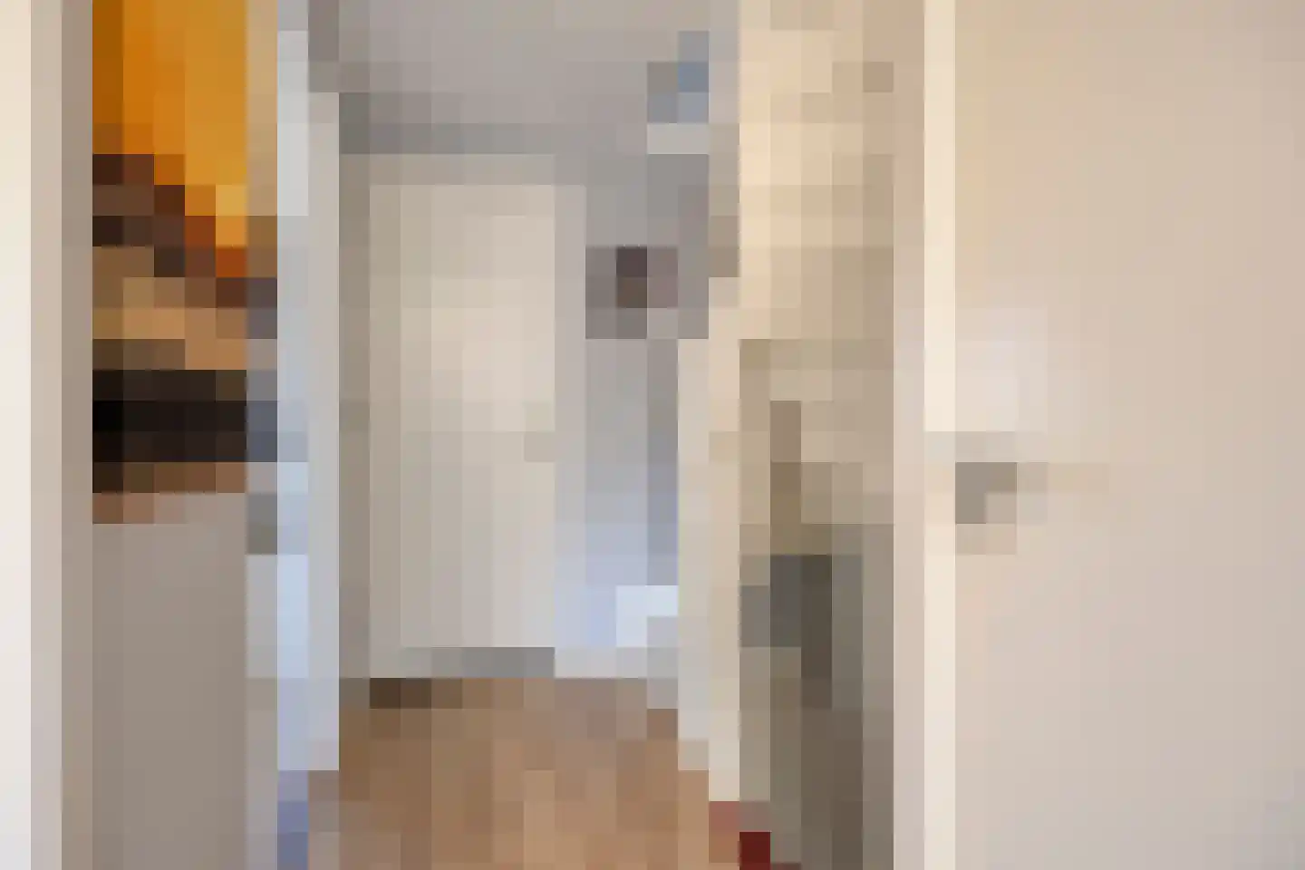 Monnikevenne 11 Monnickendam thumbnail 18
