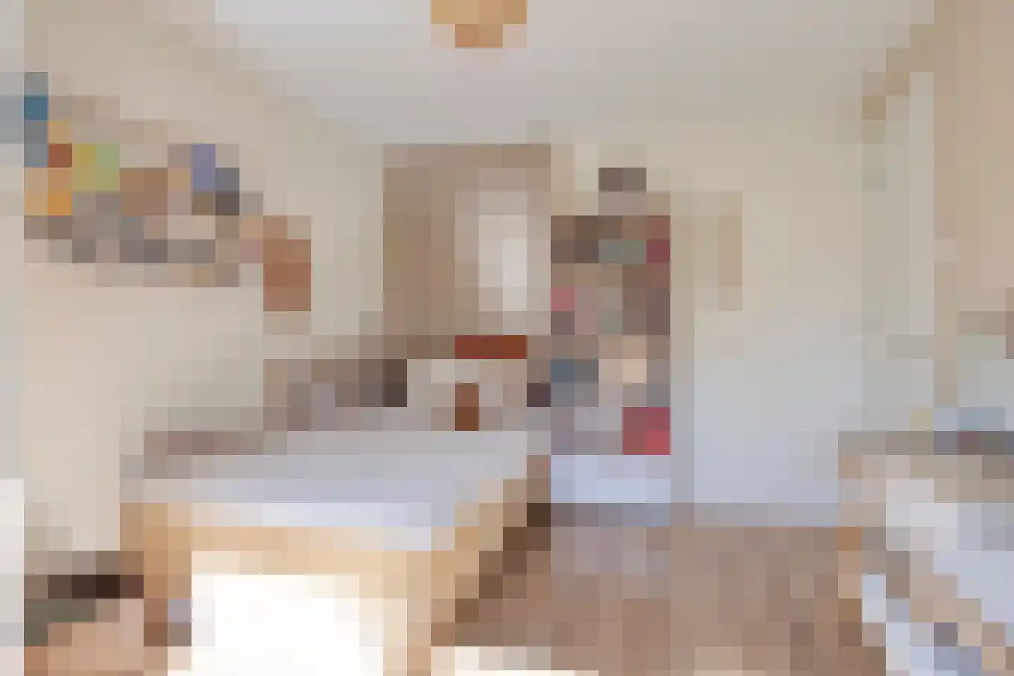 Monnikevenne 11 Monnickendam thumbnail 21