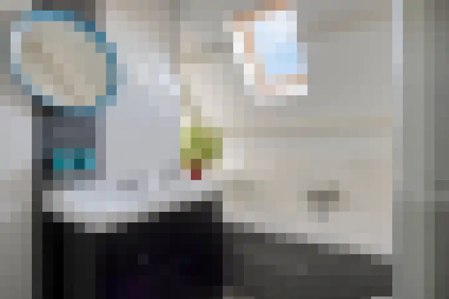 Monnikevenne 11 Monnickendam thumbnail 24