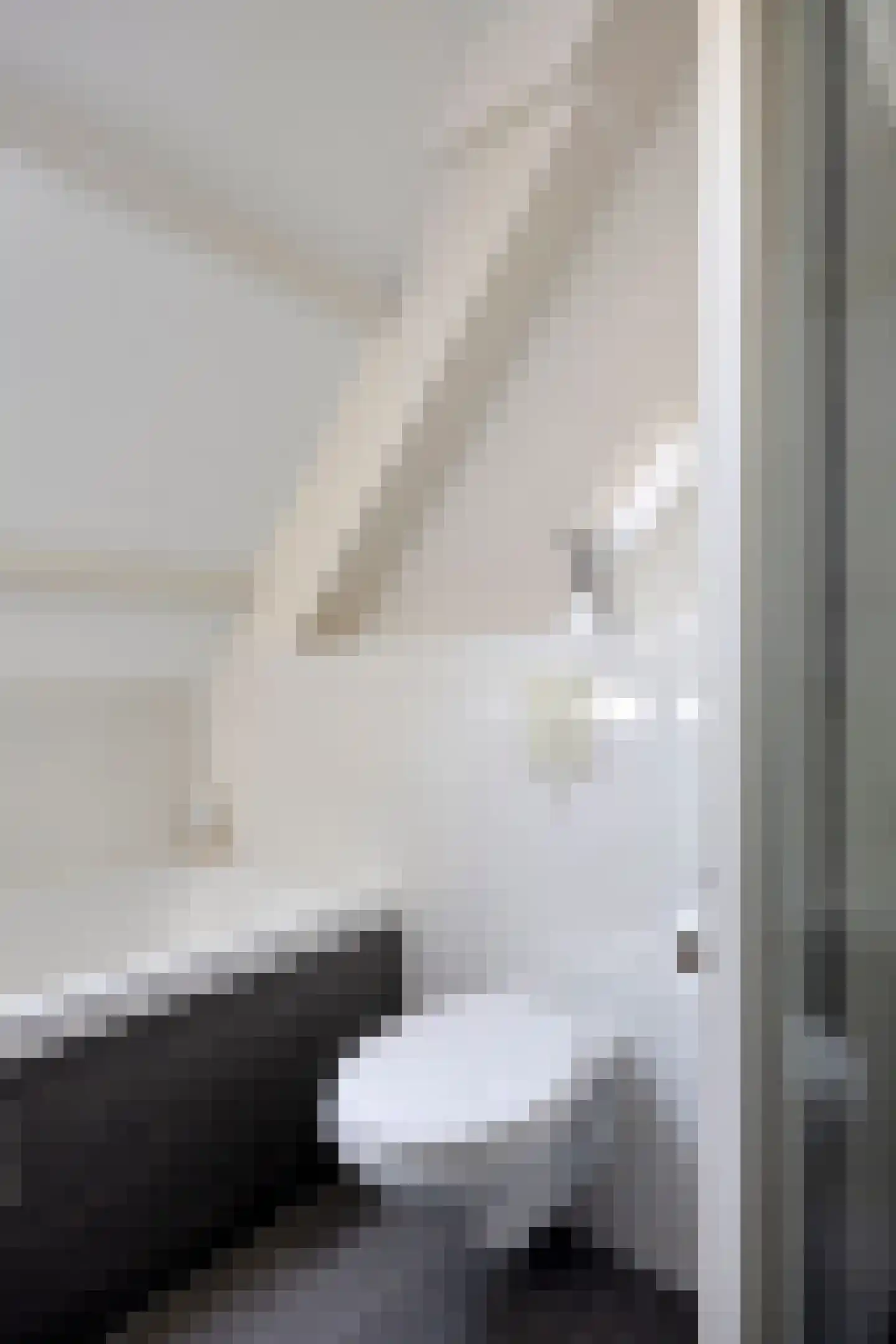 Monnikevenne 11 Monnickendam thumbnail 25