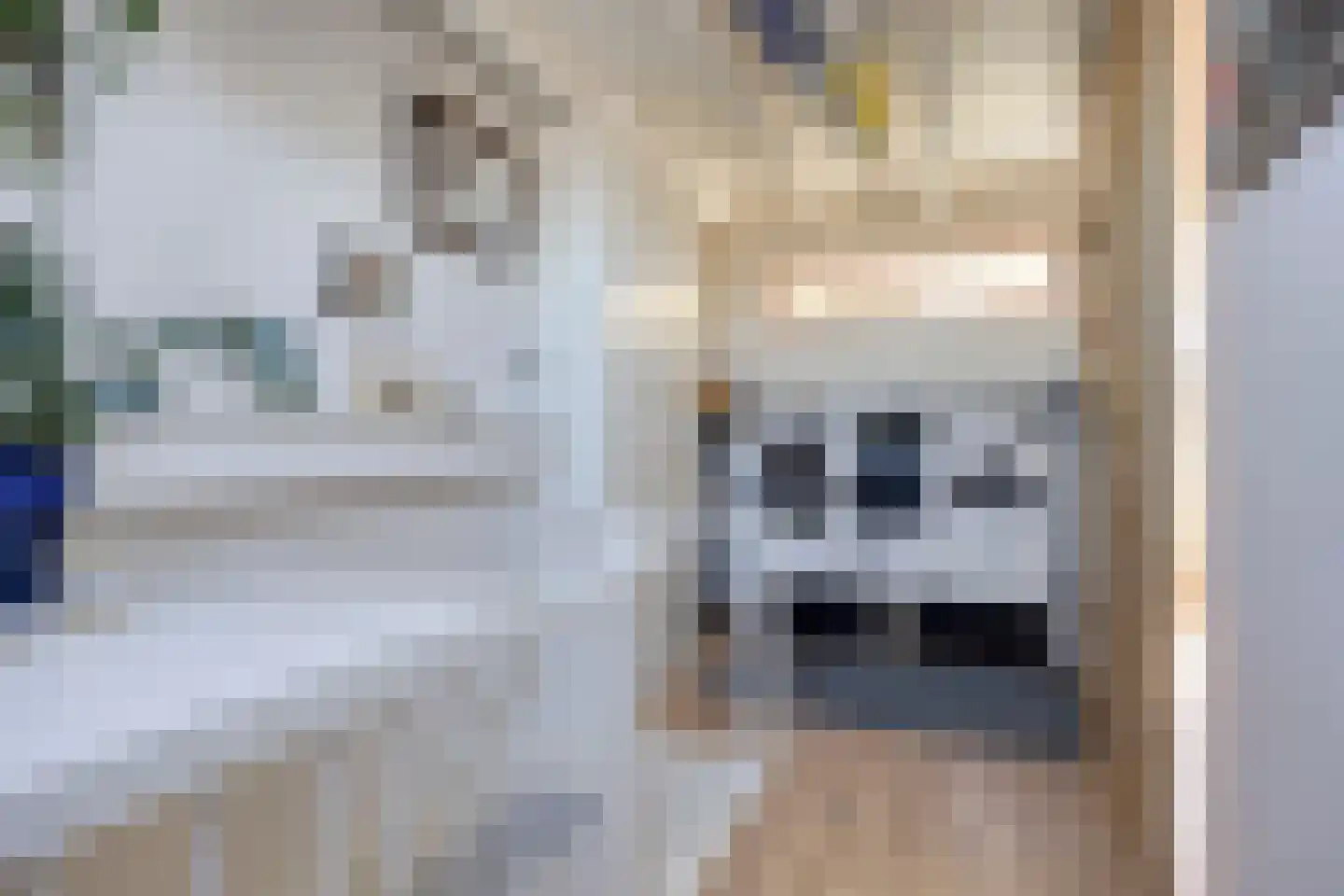 Monnikevenne 11 Monnickendam thumbnail 33