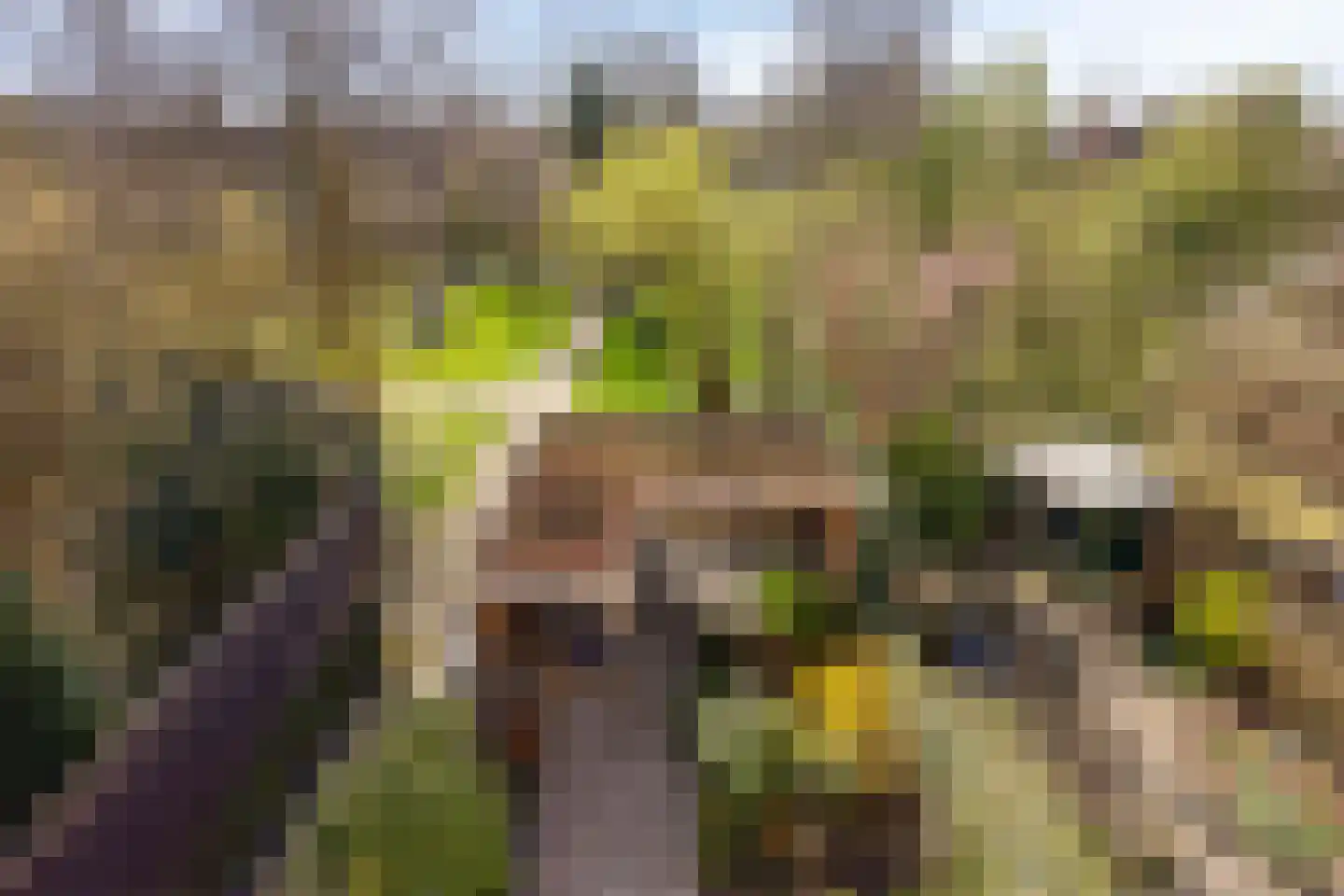 Monnikevenne 11 Monnickendam thumbnail 44