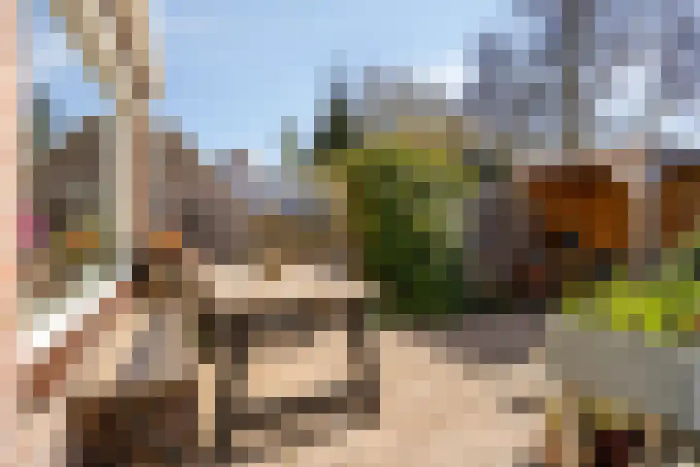 Monnikevenne 11 Monnickendam thumbnail 45