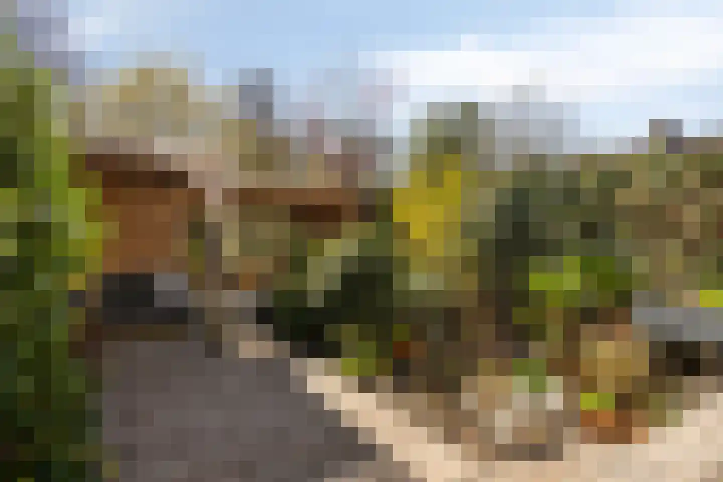 Monnikevenne 11 Monnickendam thumbnail 46