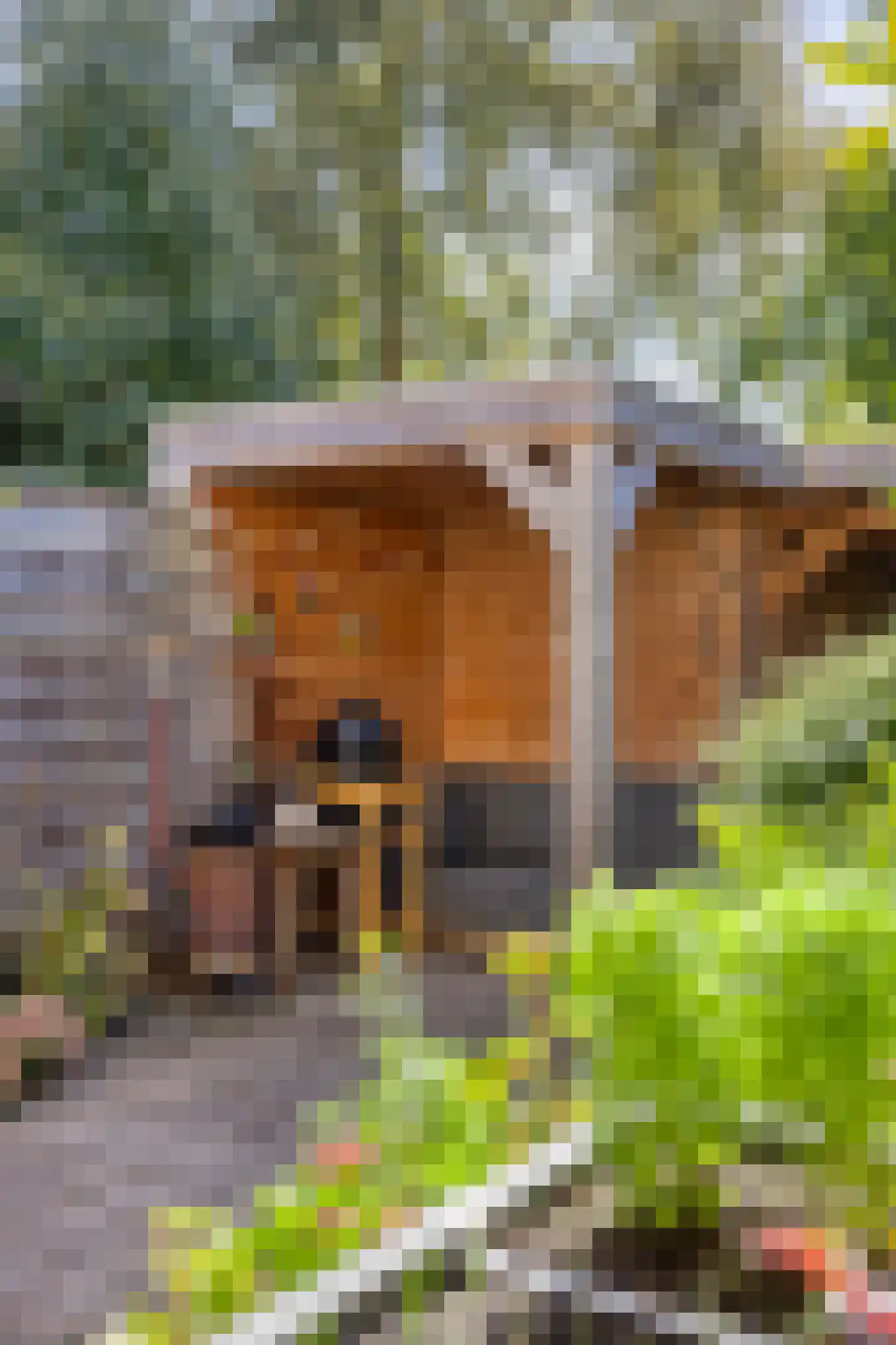 Monnikevenne 11 Monnickendam thumbnail 48