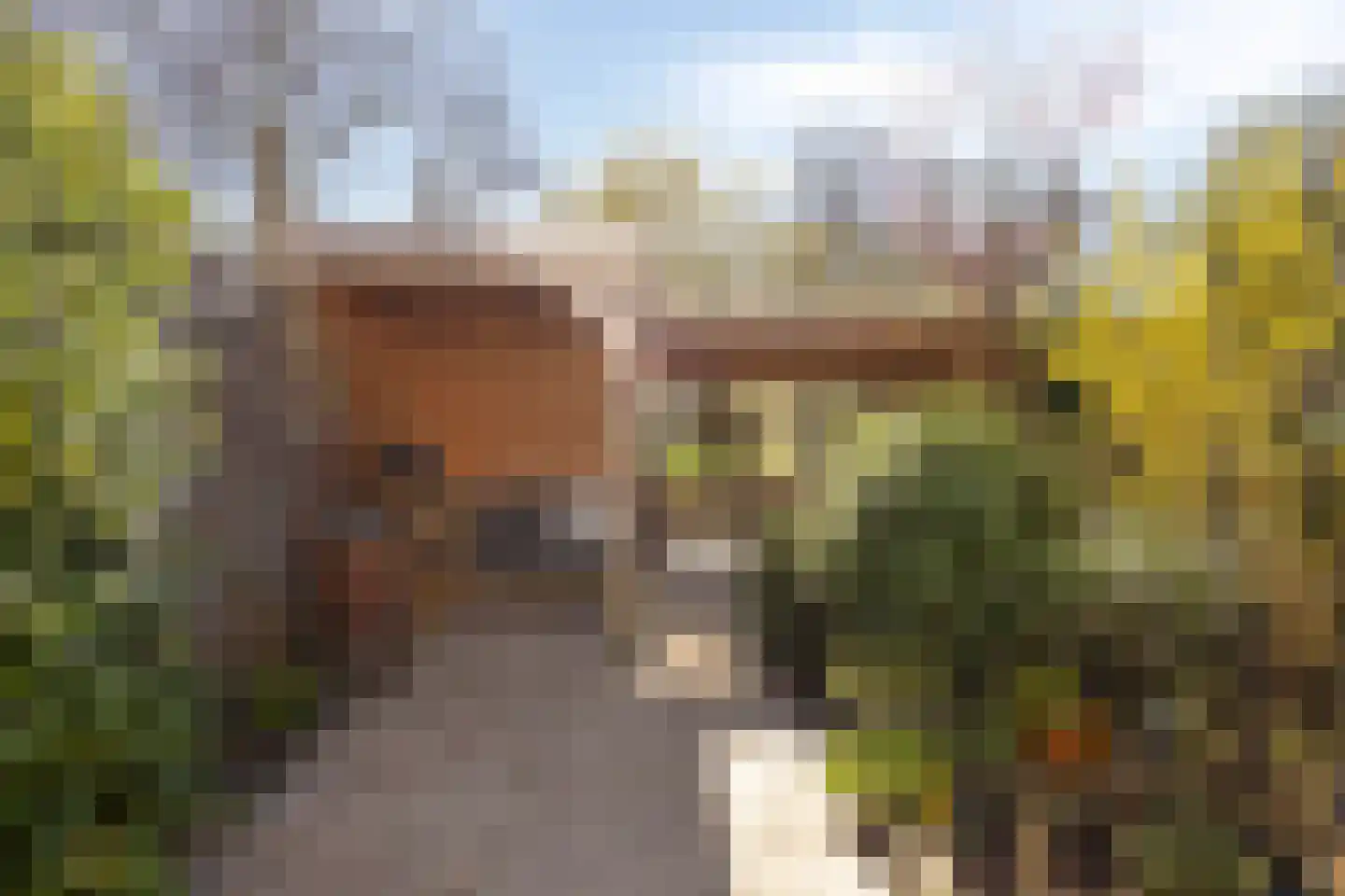 Monnikevenne 11 Monnickendam thumbnail 49