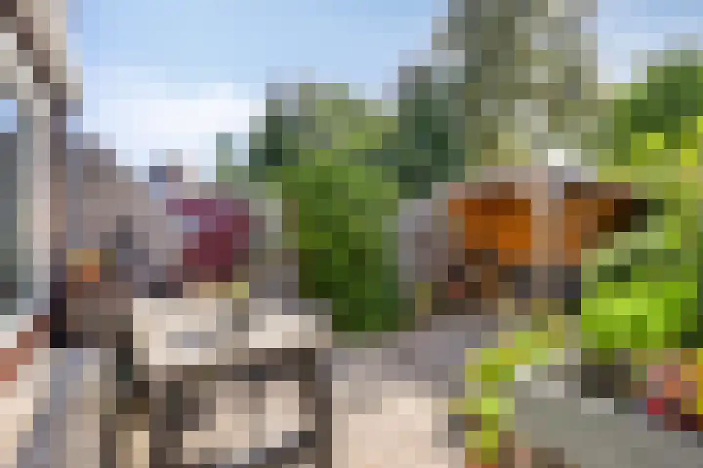 Monnikevenne 11 Monnickendam thumbnail 5