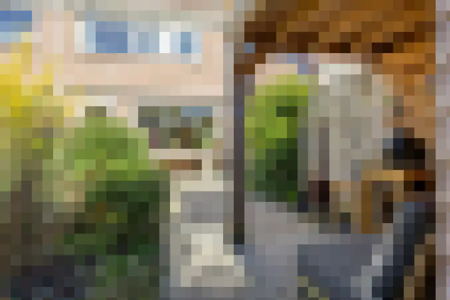 Monnikevenne 11 Monnickendam thumbnail 50