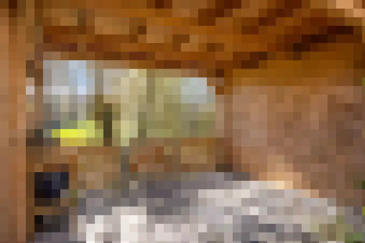 Monnikevenne 11 Monnickendam thumbnail 51