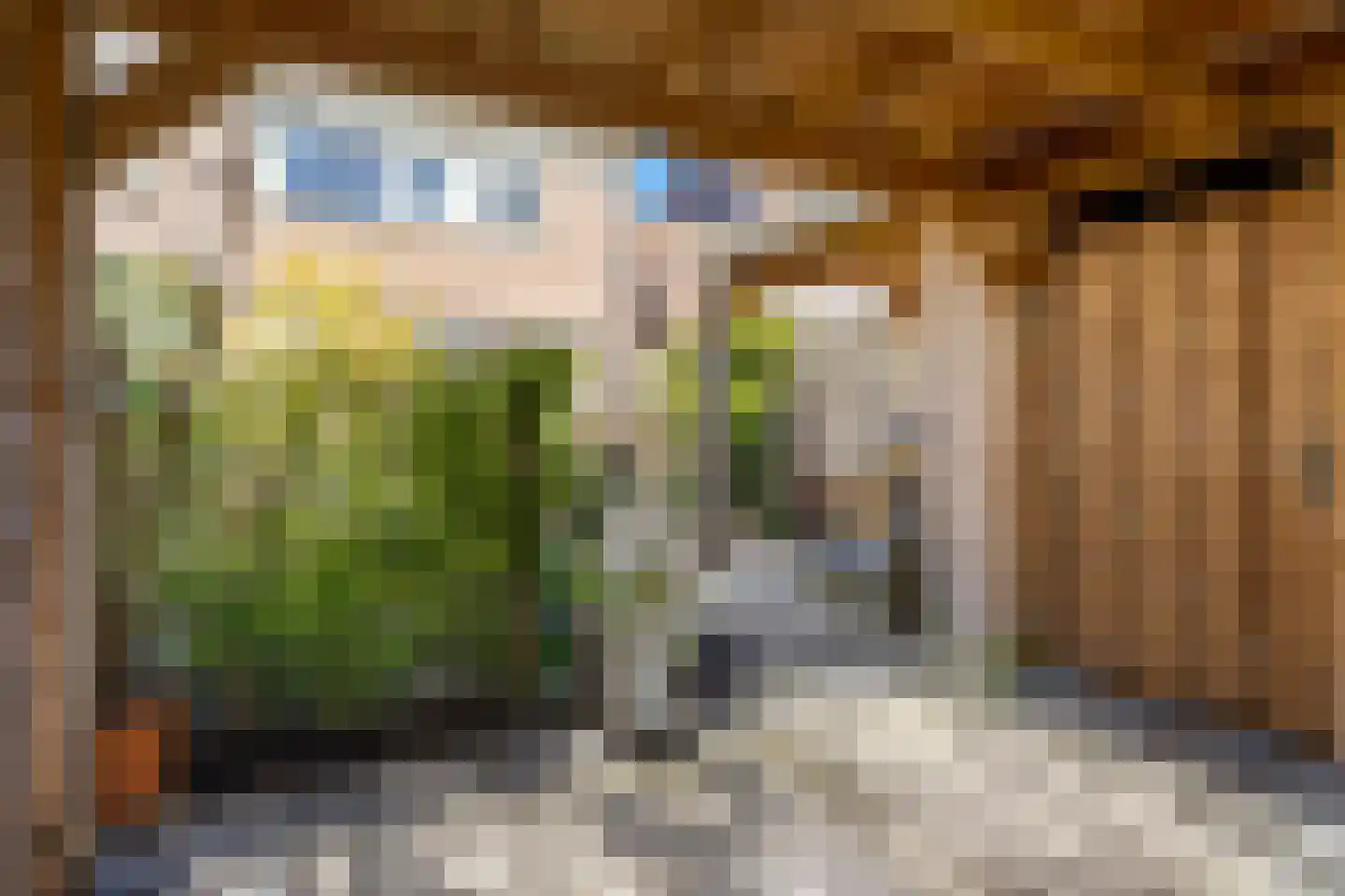 Monnikevenne 11 Monnickendam thumbnail 52