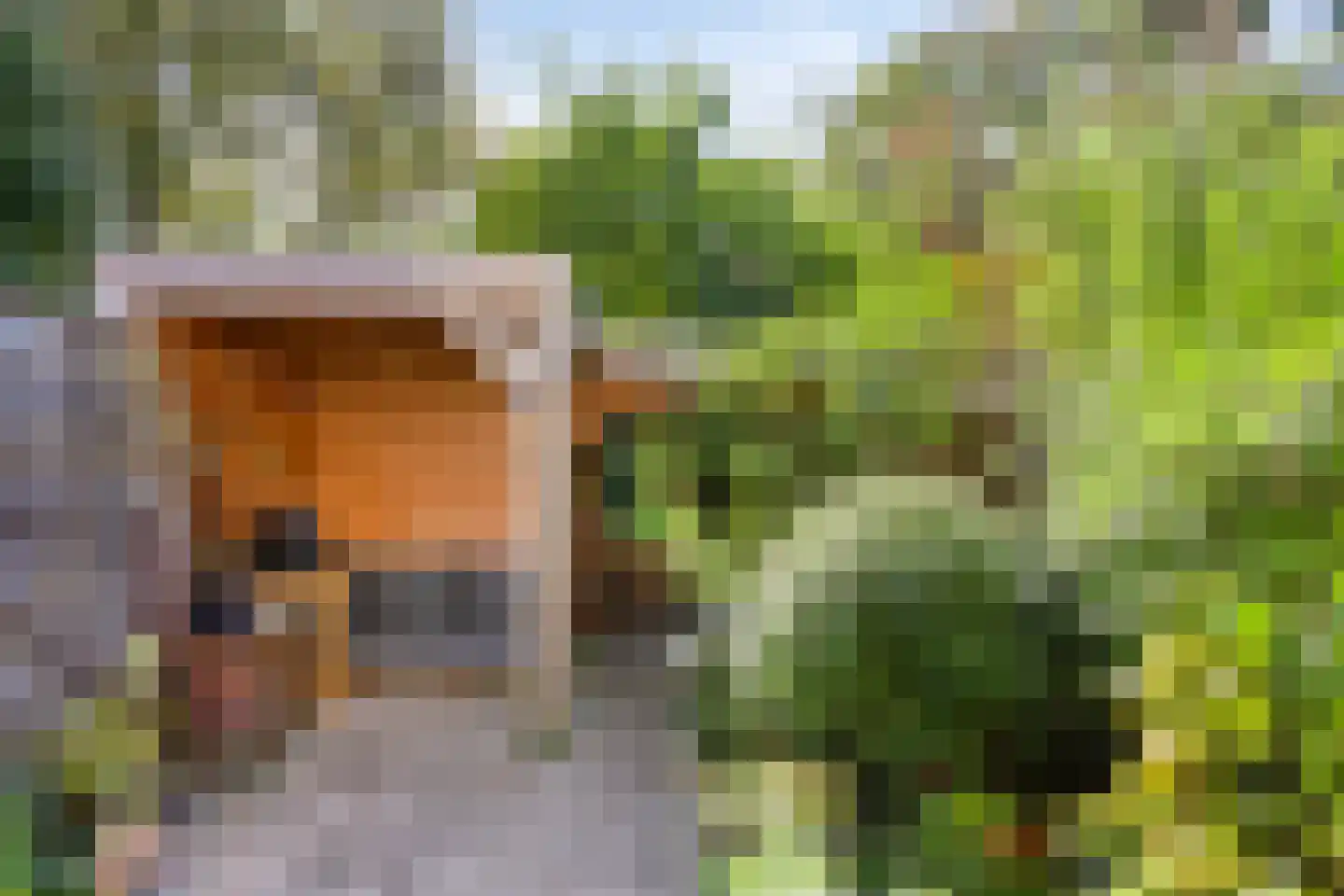 Monnikevenne 11 Monnickendam thumbnail 53