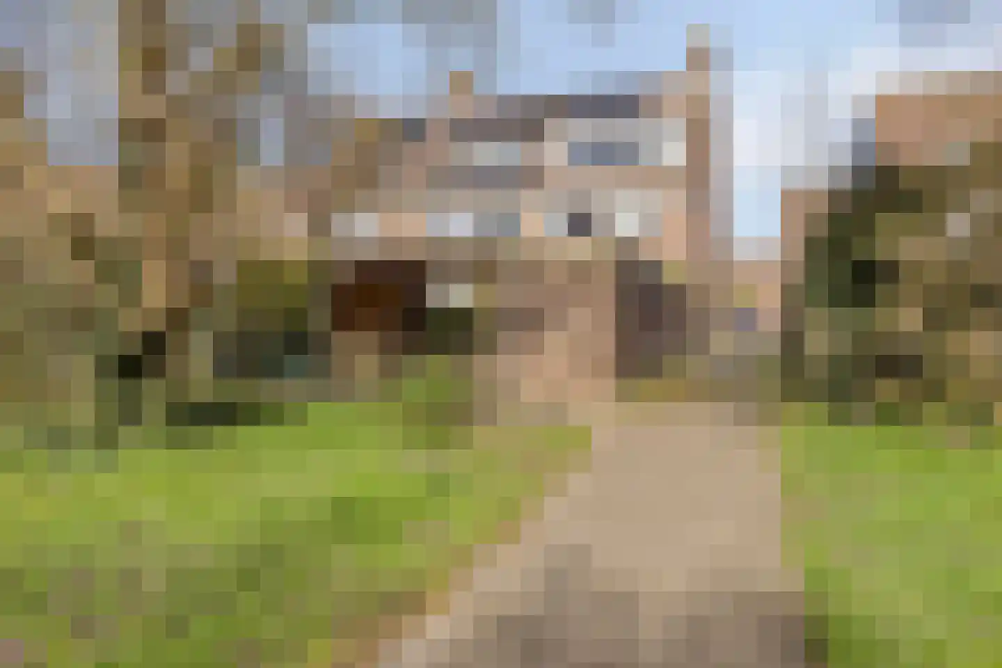 Monnikevenne 11 Monnickendam thumbnail 56