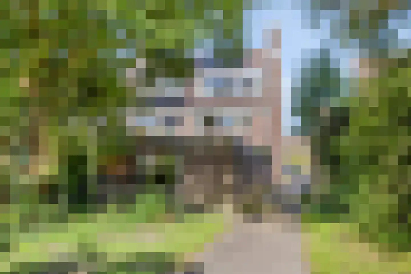 Monnikevenne 11 Monnickendam thumbnail 57