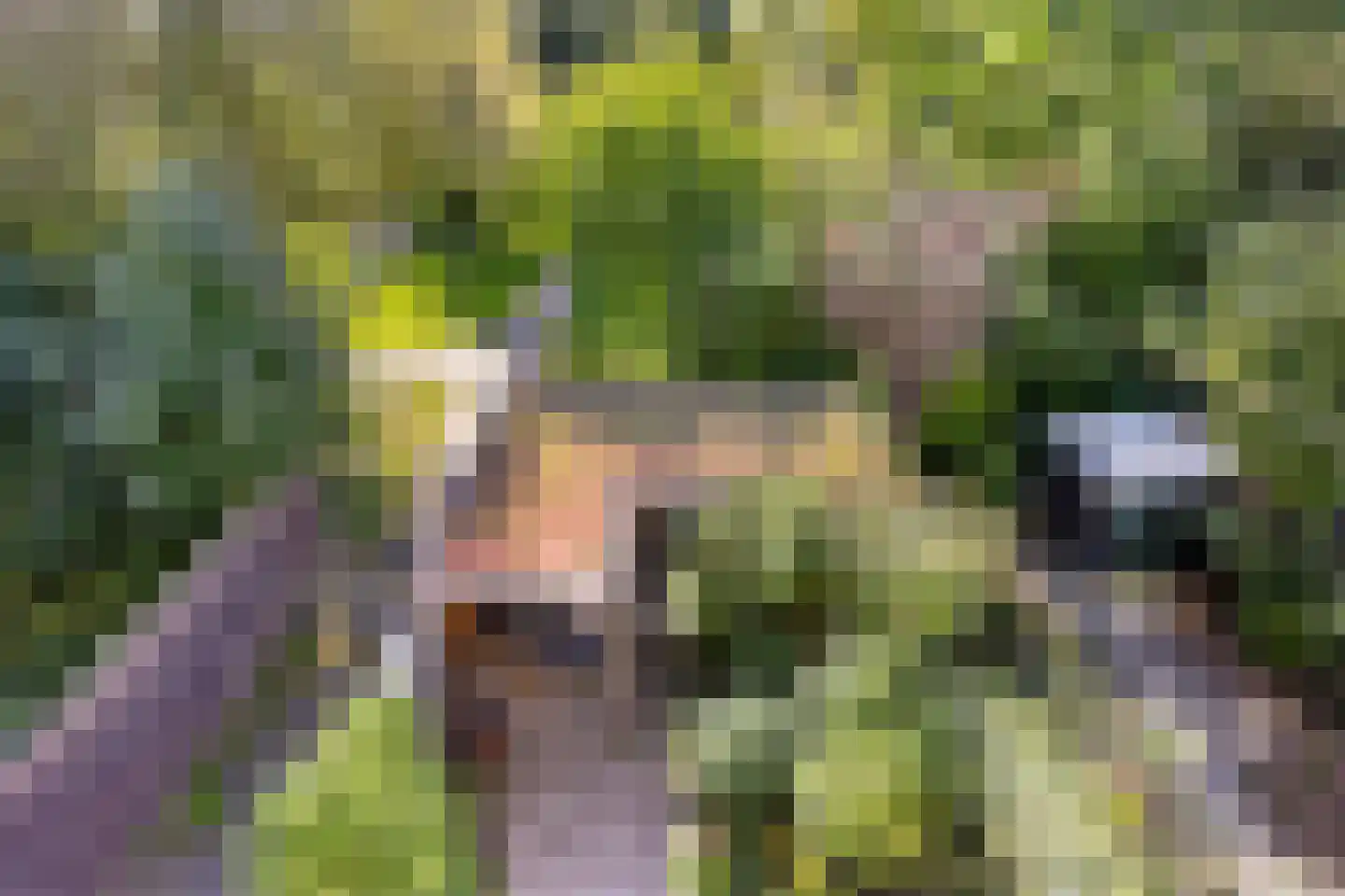 Monnikevenne 11 Monnickendam thumbnail 58
