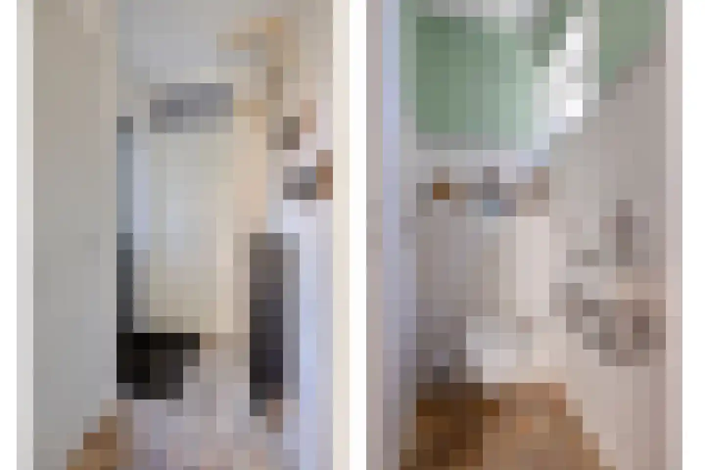 Monnikevenne 11 Monnickendam thumbnail 6