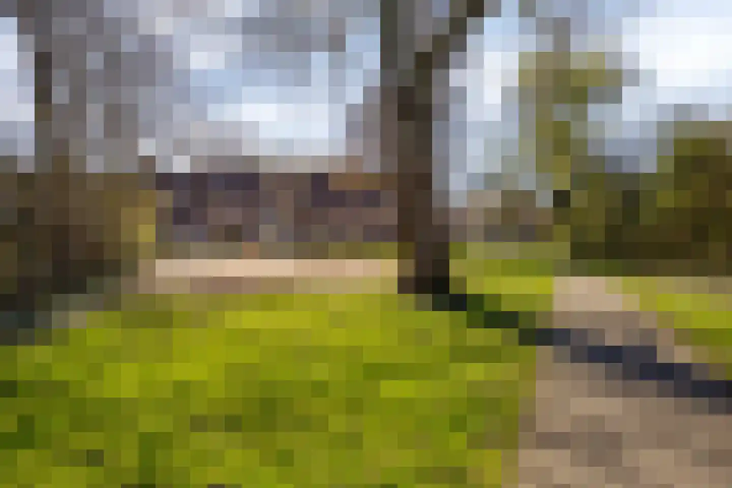 Monnikevenne 11 Monnickendam thumbnail 62