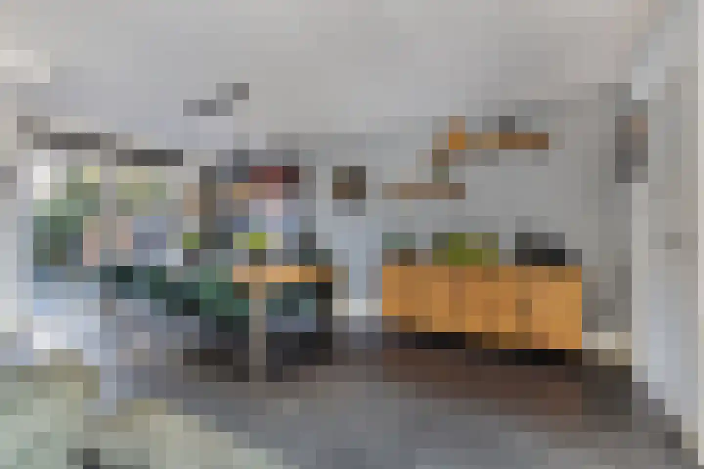 Monnikevenne 2 Monnickendam thumbnail 10