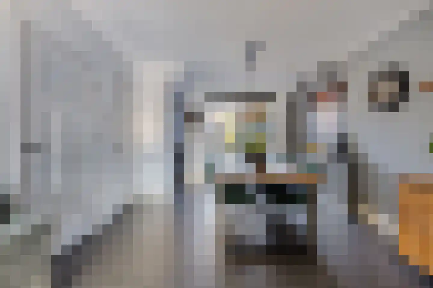 Monnikevenne 2 Monnickendam thumbnail 11