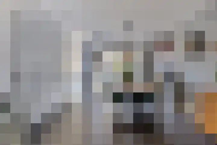 Monnikevenne 2 Monnickendam thumbnail 11