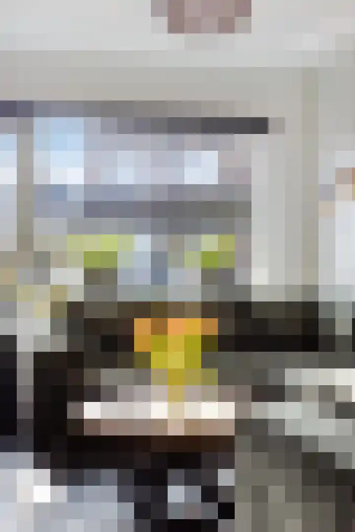 Monnikevenne 2 Monnickendam thumbnail 15