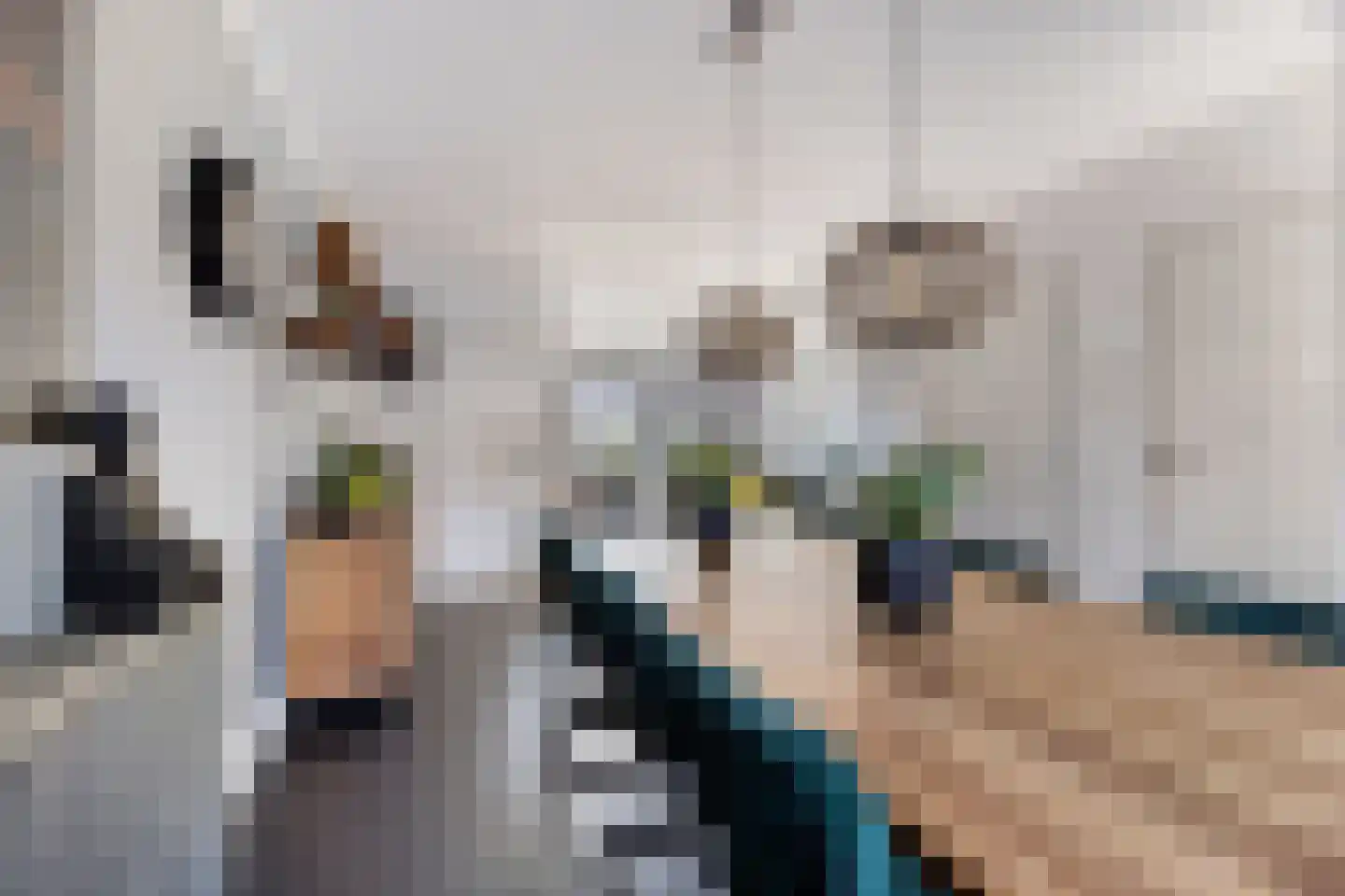 Monnikevenne 2 Monnickendam thumbnail 17