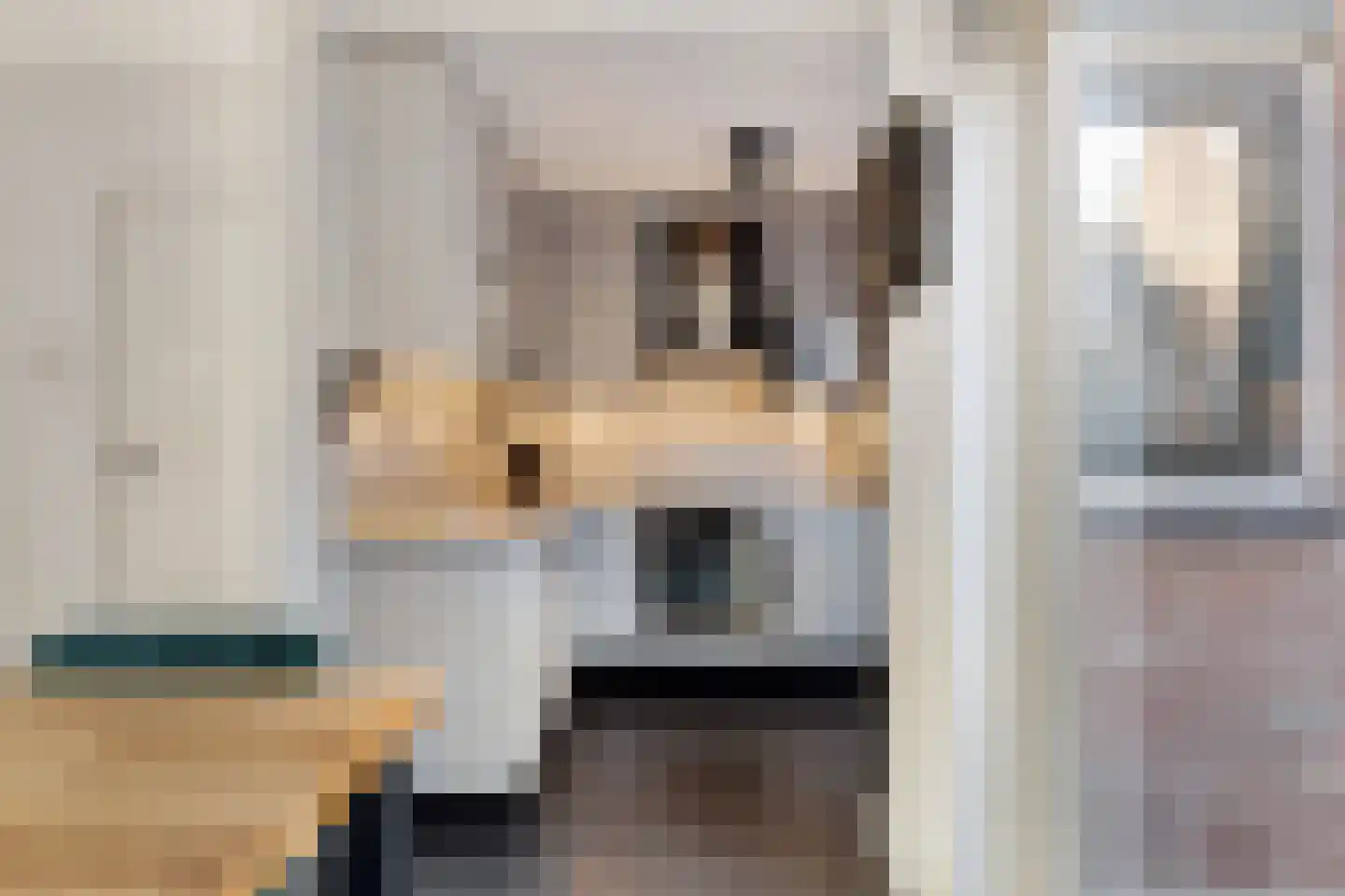 Monnikevenne 2 Monnickendam thumbnail 18