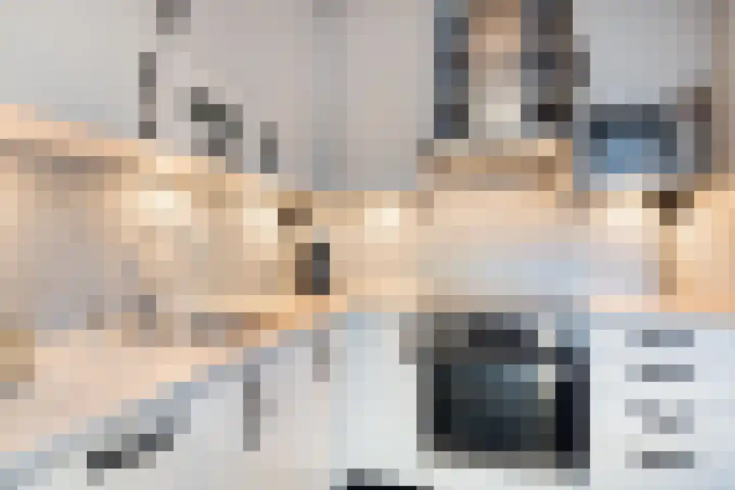 Monnikevenne 2 Monnickendam thumbnail 20