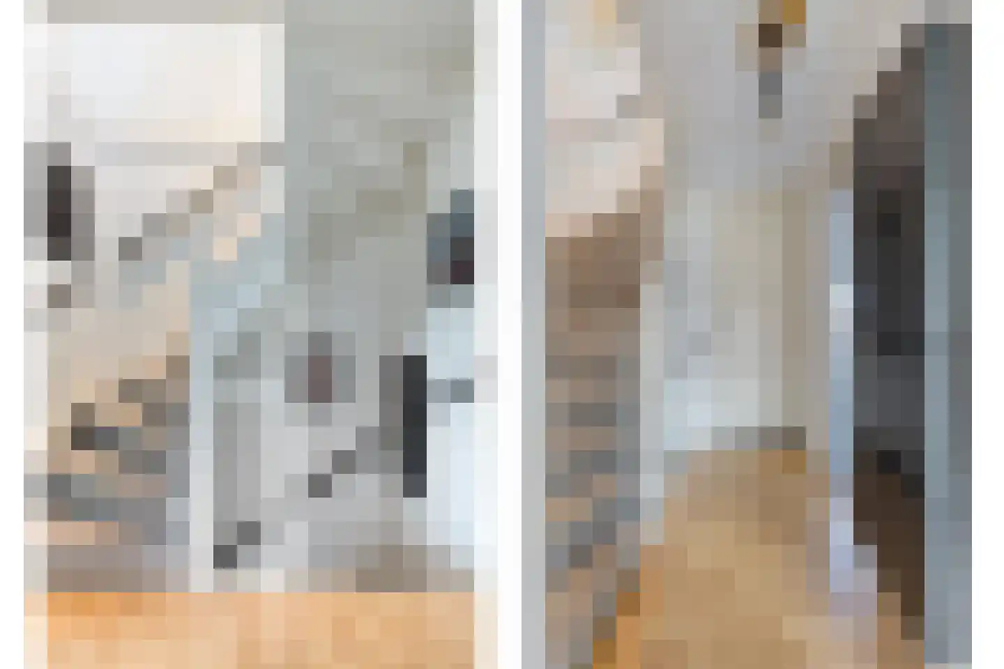 Monnikevenne 2 Monnickendam thumbnail 22