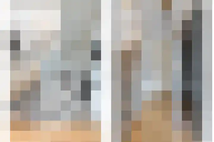 Monnikevenne 2 Monnickendam thumbnail 22