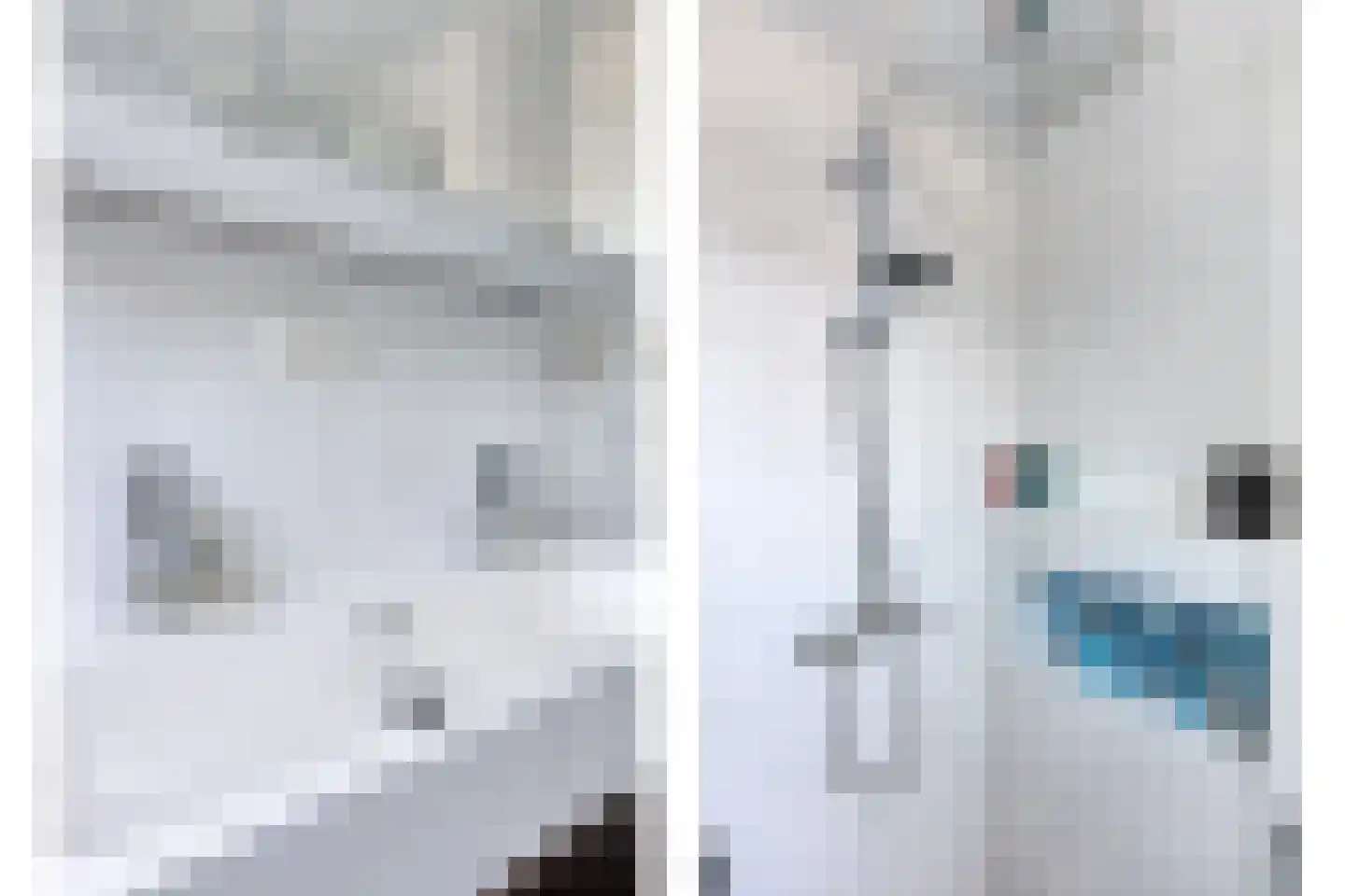Monnikevenne 2 Monnickendam thumbnail 23