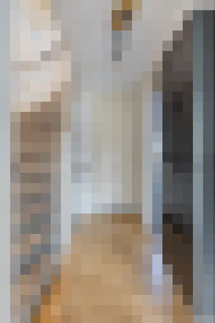 Monnikevenne 2 Monnickendam thumbnail 29