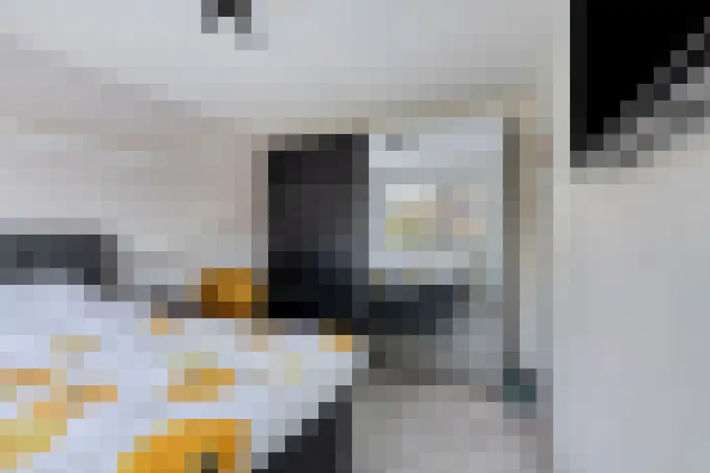 Monnikevenne 2 Monnickendam thumbnail 32