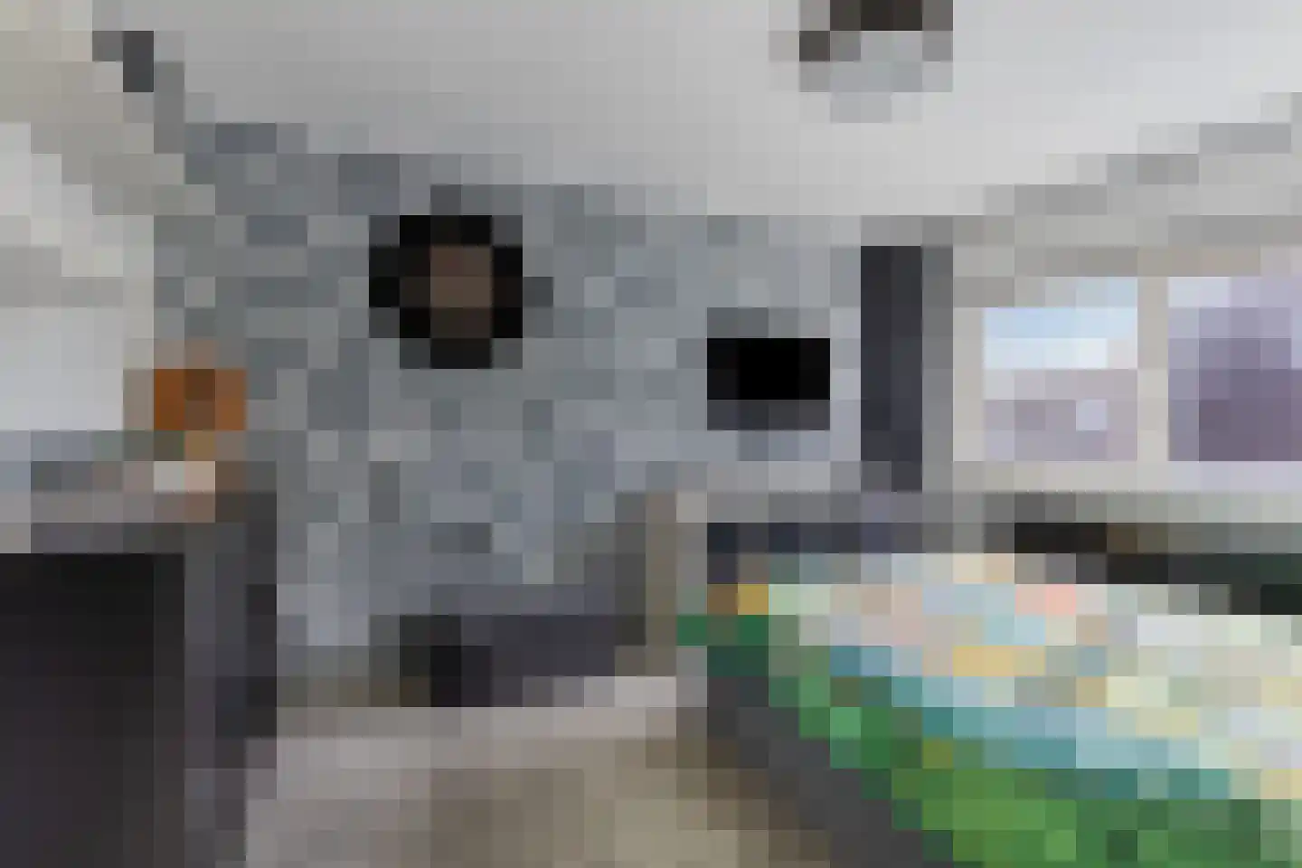 Monnikevenne 2 Monnickendam thumbnail 33