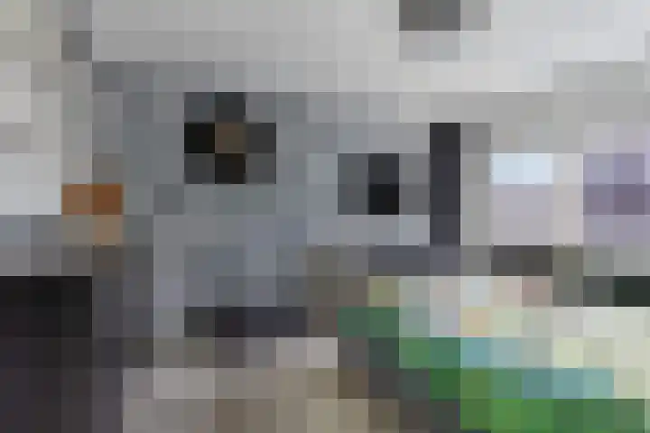 Monnikevenne 2 Monnickendam thumbnail 33