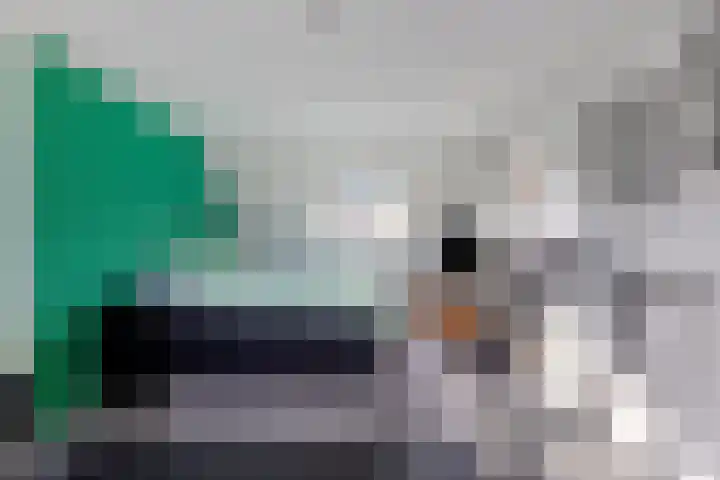 Monnikevenne 2 Monnickendam thumbnail 46
