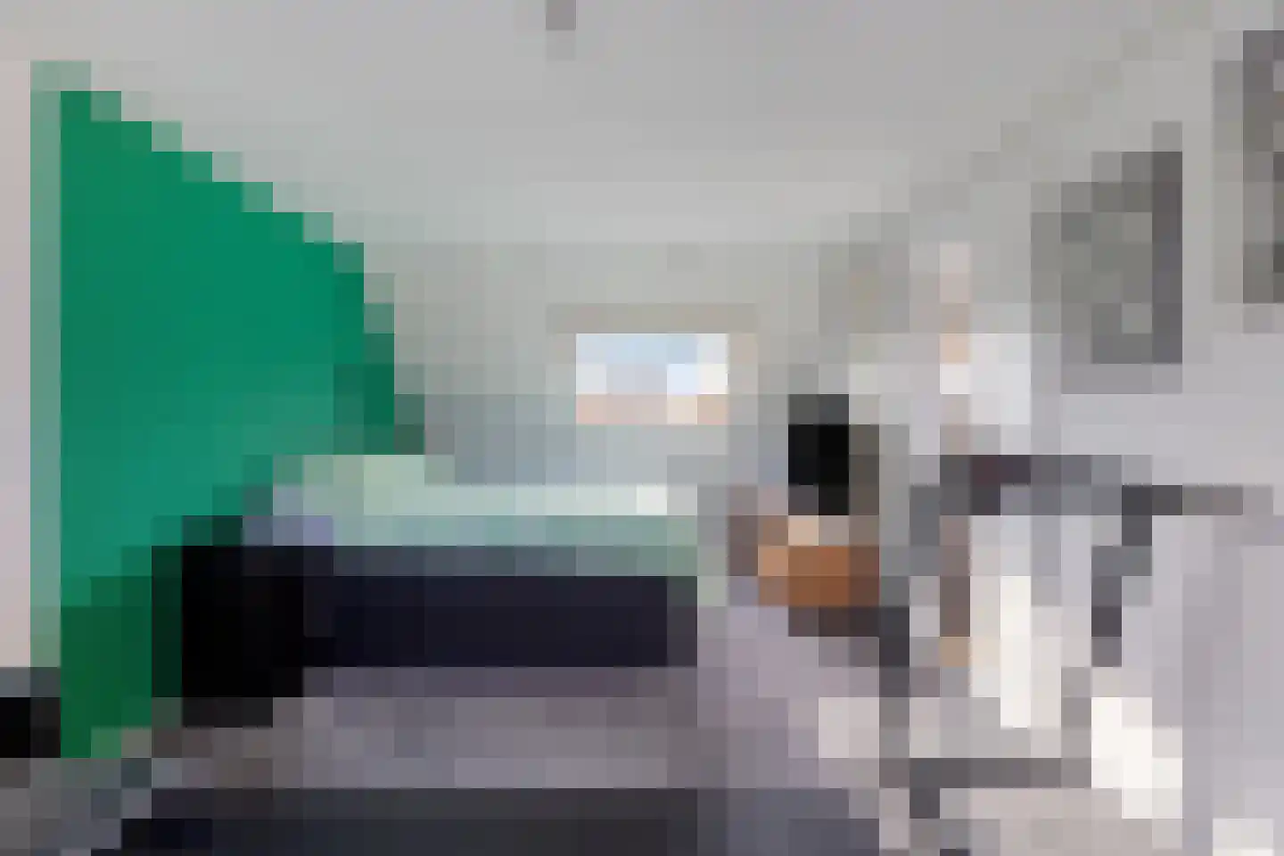 Monnikevenne 2 Monnickendam thumbnail 46