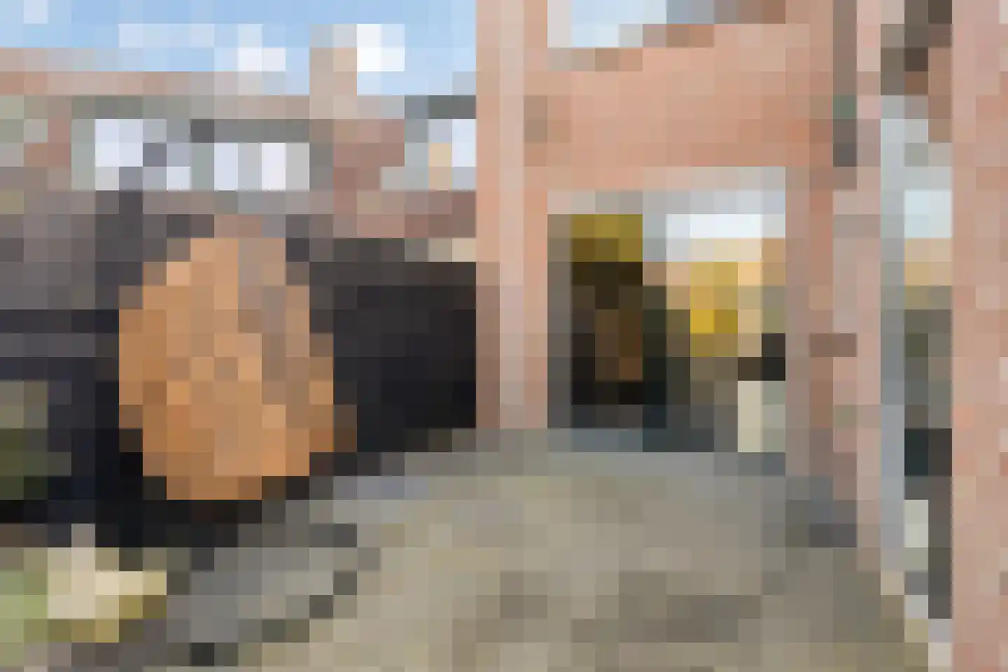 Monnikevenne 2 Monnickendam thumbnail 51
