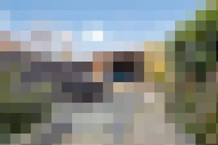Monnikevenne 2 Monnickendam thumbnail 54