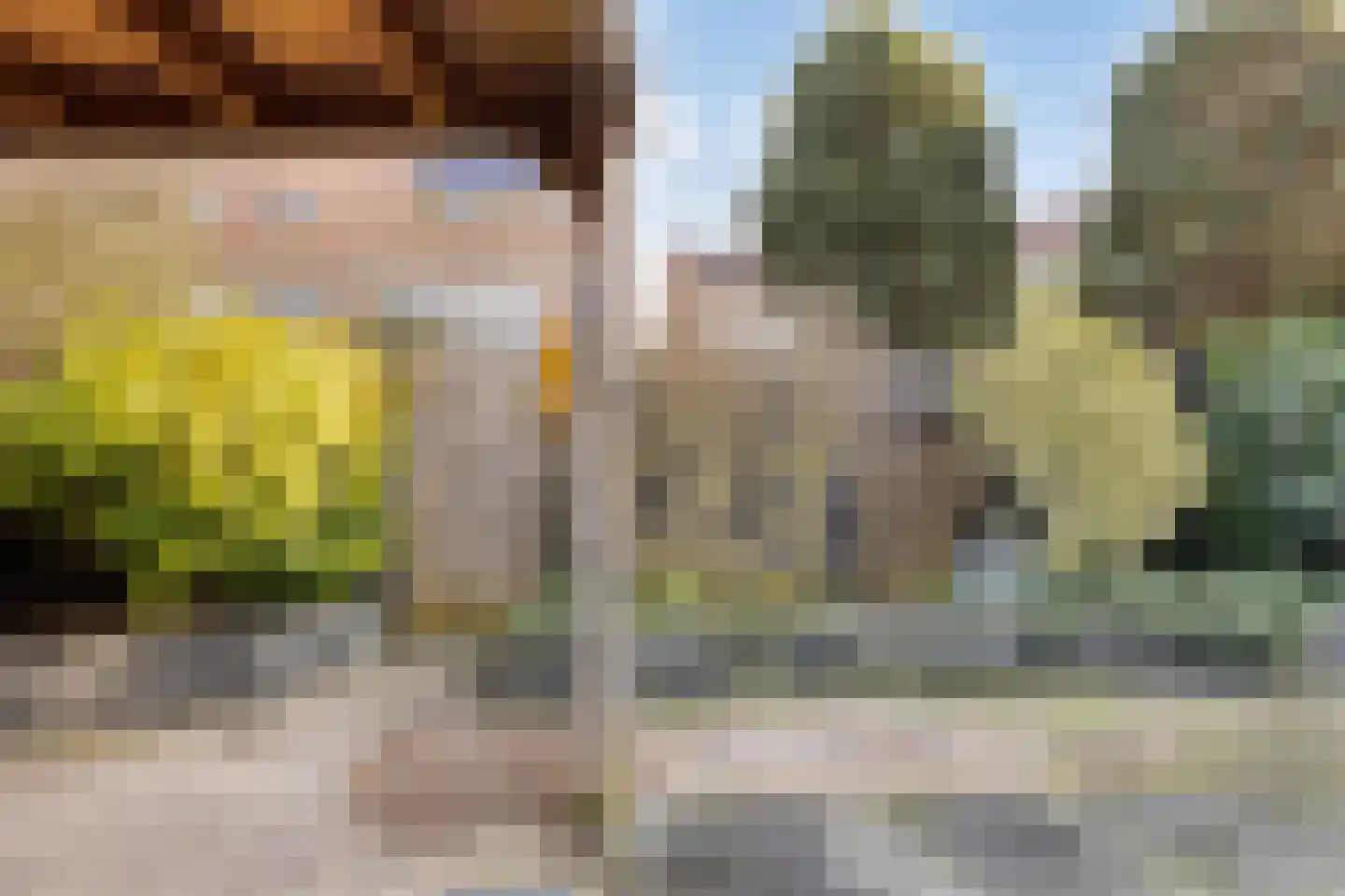Monnikevenne 2 Monnickendam thumbnail 58
