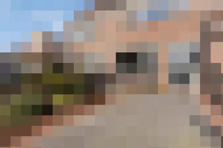 Monnikevenne 2 Monnickendam thumbnail 61