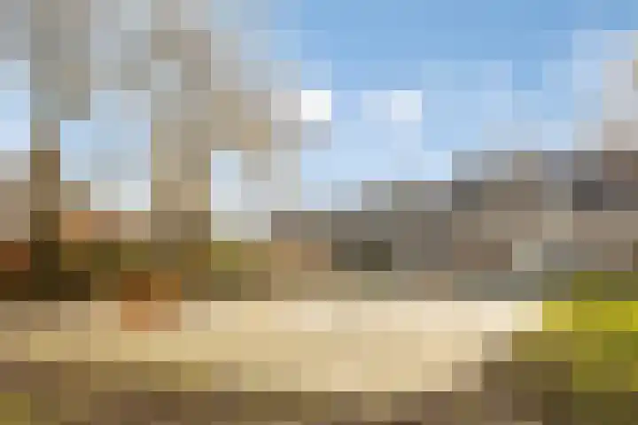 Monnikevenne 2 Monnickendam thumbnail 69