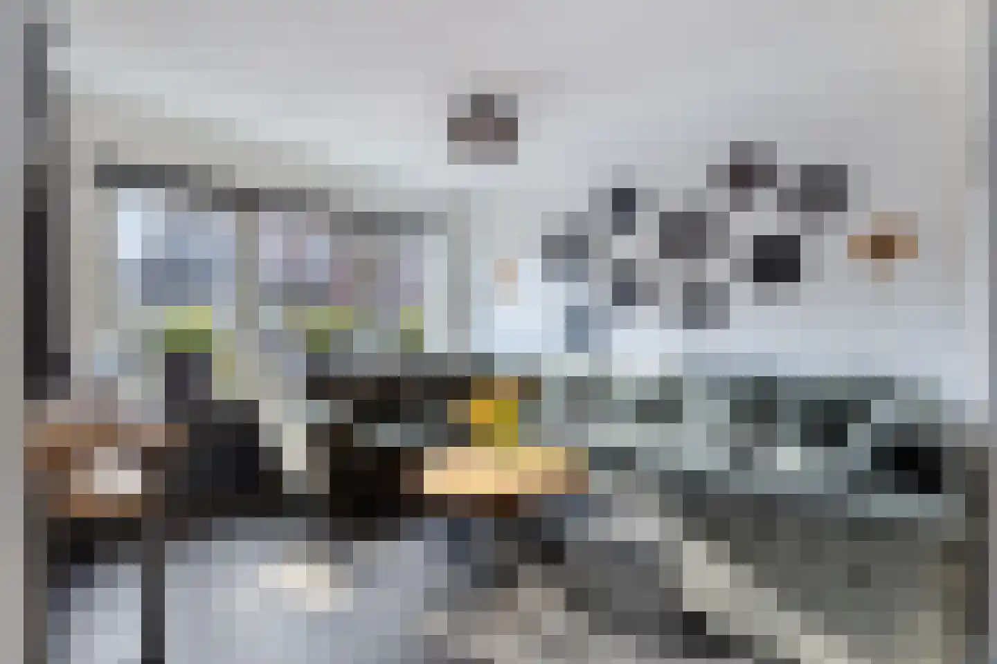 Monnikevenne 2 Monnickendam thumbnail 7