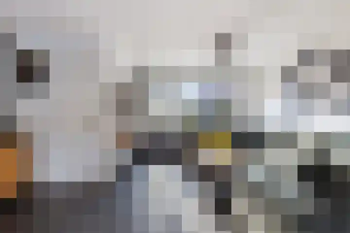 Monnikevenne 2 Monnickendam thumbnail 8