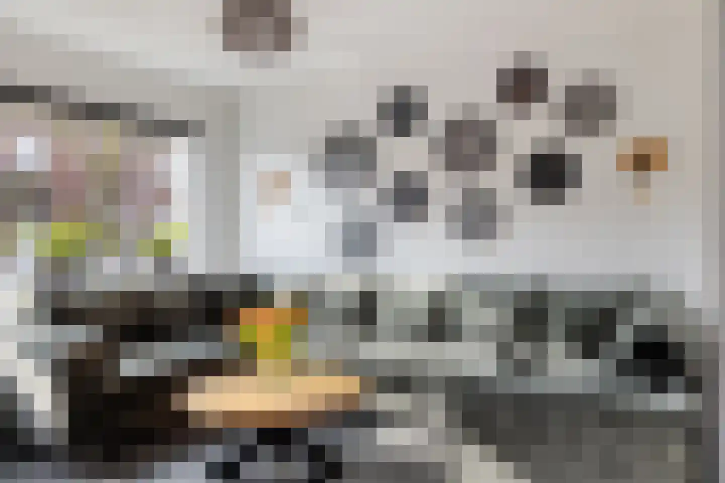 Monnikevenne 2 Monnickendam thumbnail 9