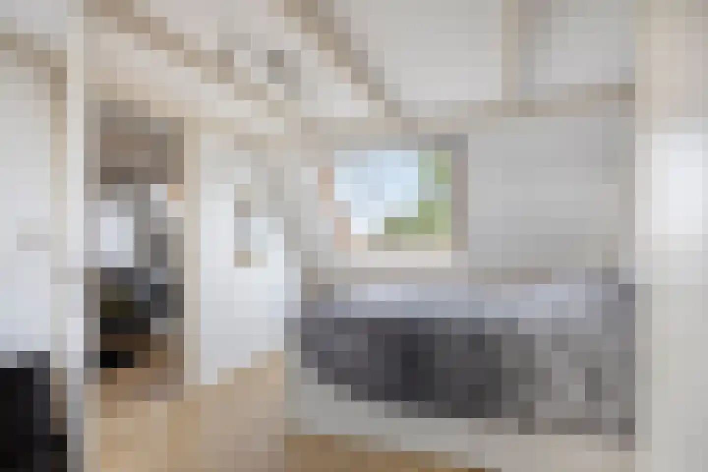Monnikevenne 54 Monnickendam thumbnail 25