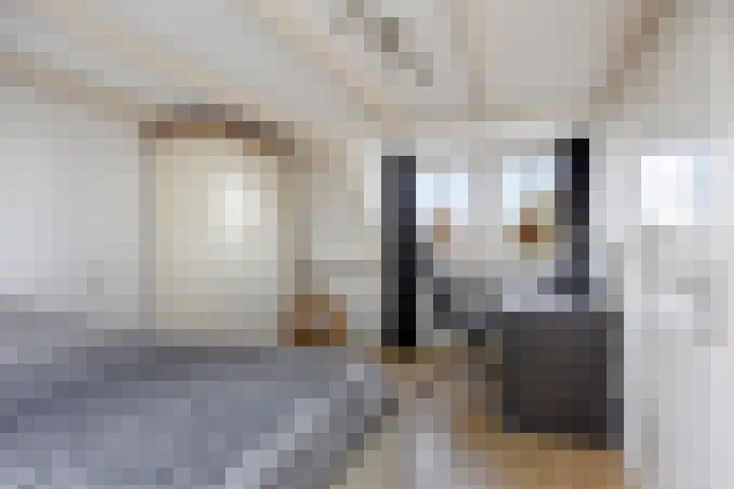 Monnikevenne 54 Monnickendam thumbnail 26