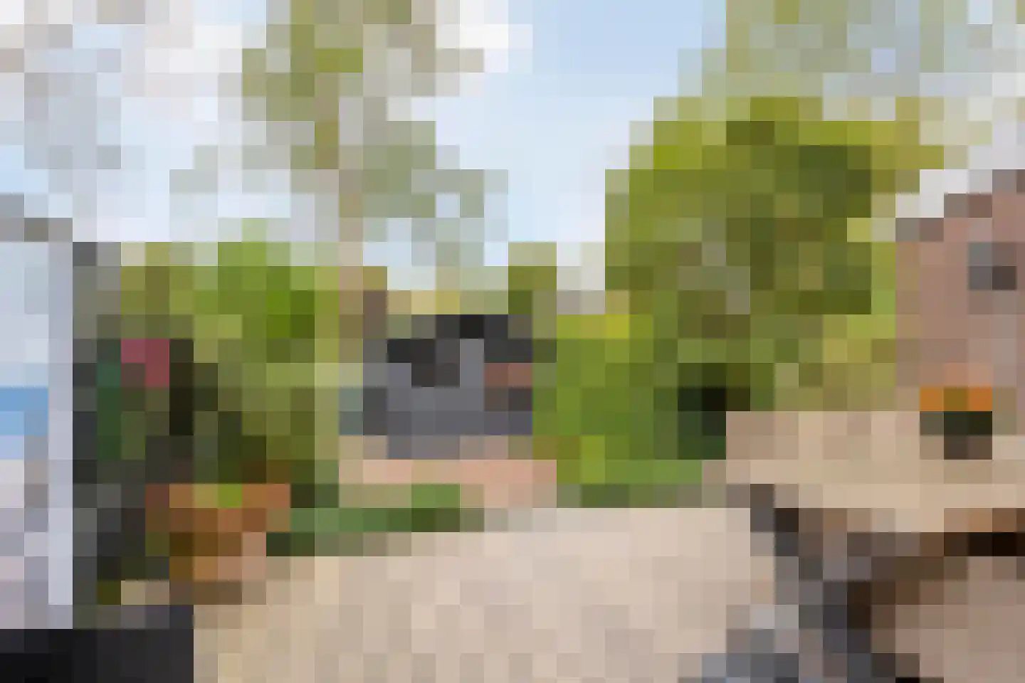 Monnikevenne 54 Monnickendam thumbnail 28