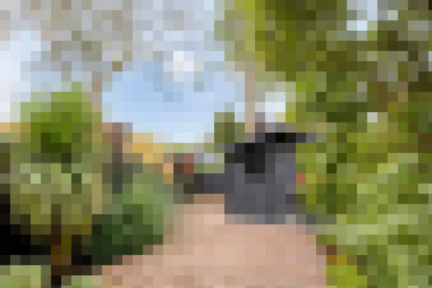 Monnikevenne 54 Monnickendam thumbnail 29