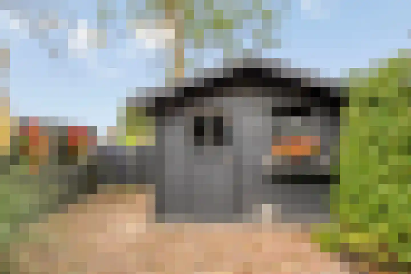 Monnikevenne 54 Monnickendam thumbnail 31